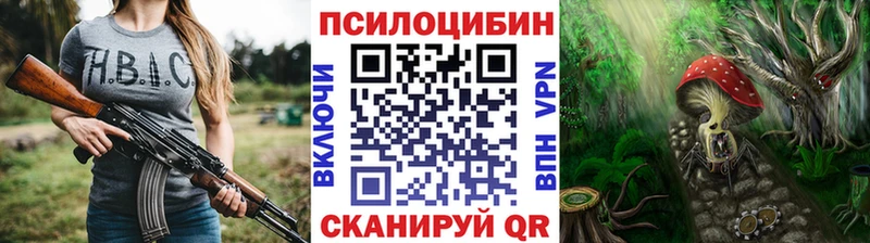 купить наркотик  Дмитровск  мега зеркало  Псилоцибиновые грибы GOLDEN TEACHER 